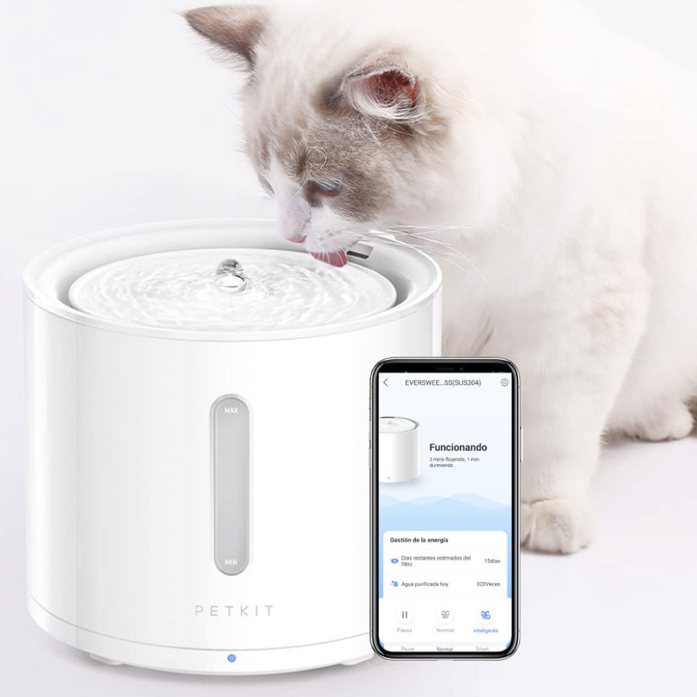 Las mejores fuentes de agua automáticas con filtro para perros y gatos, Escaparate: compras y ofertas