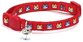 collar-para-gatos
