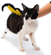 guante peine para gatos