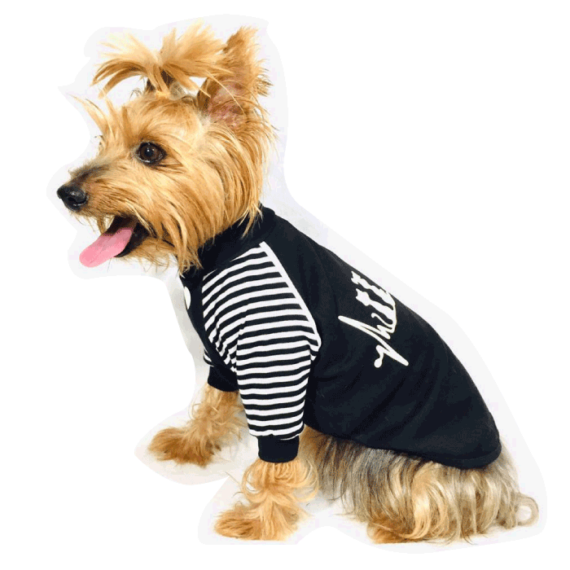 ropa para perros lima peru