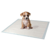 pañales de piso para perros croci peru C6028170