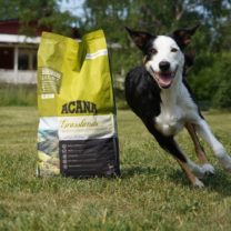 comida premium para perros acana peru