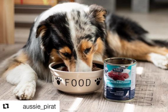 dr clauder's pienso comida para perros premium