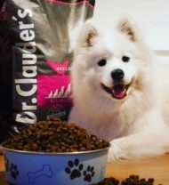 dr clauder's pienso comida para perros premium