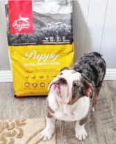 orijen puppy dog food comida para perros lima peru