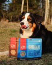 orijen dog food treat premio para perros lima peru