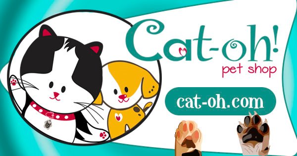 standard smooth dachshund for sale