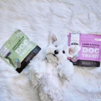 treat premio para perros acana peru