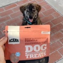 treat premio para perros acana peru