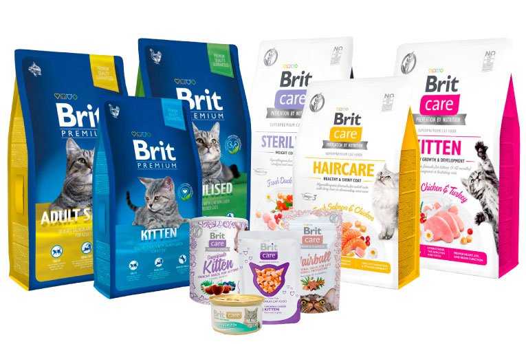 Líneas Brit para gatos disponibles en Cat-oh Perú