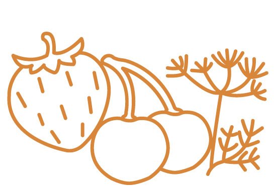 Frutos del bosque, vegetales y hierbas
