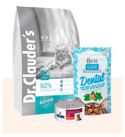 Comida para gatos