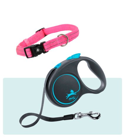 Collares y correas