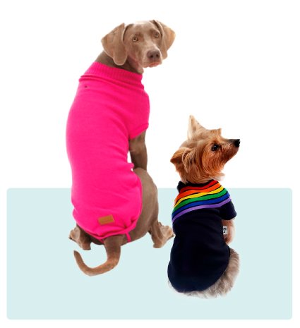 Ropa para perros