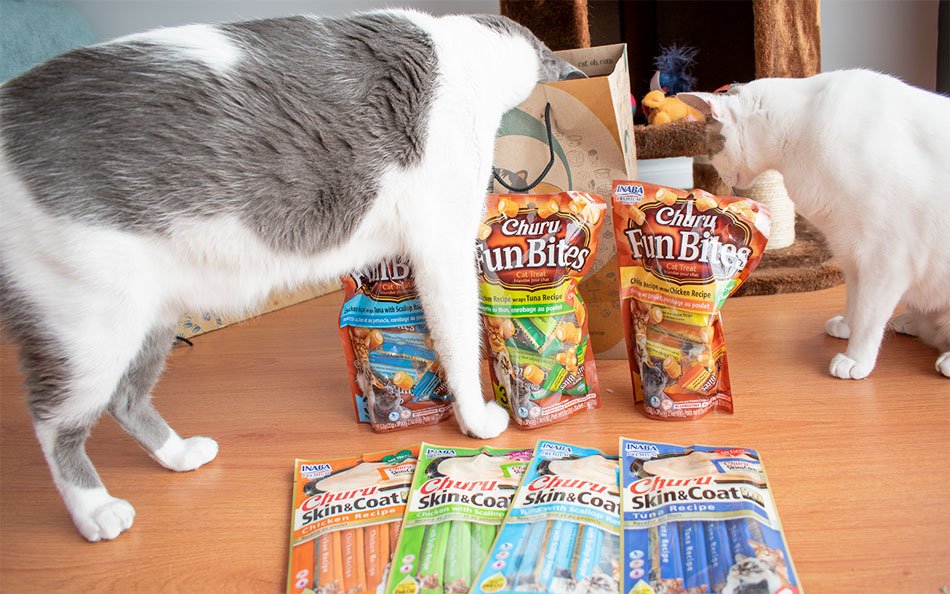 Gatos comiendo premios Churu Fun Bites y Skin Coat en Cat-oh Perú