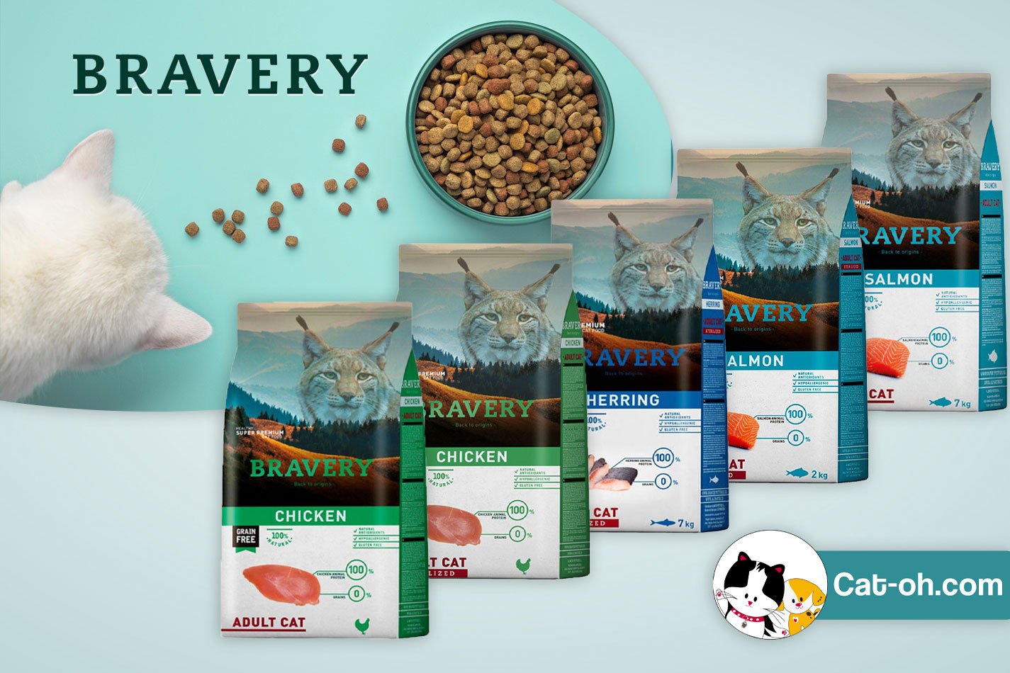 Línea Bravery para gatos