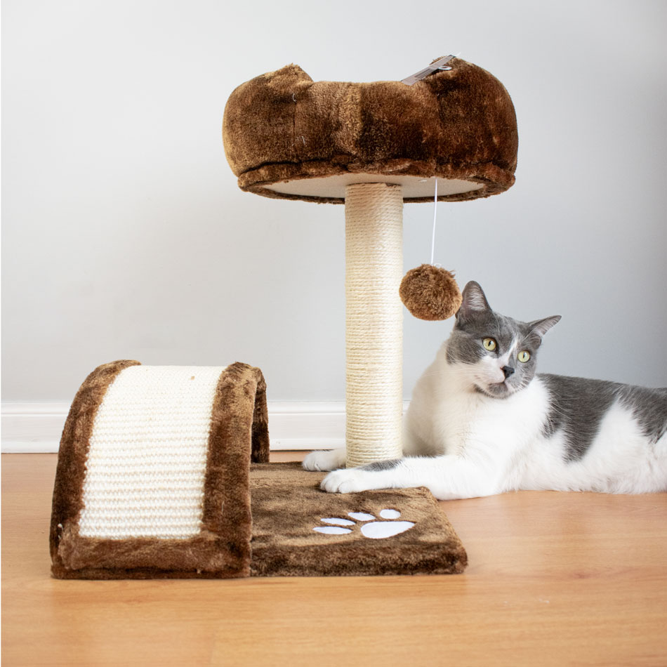 Rascador sofá del engreído - Cat-oh pet shop