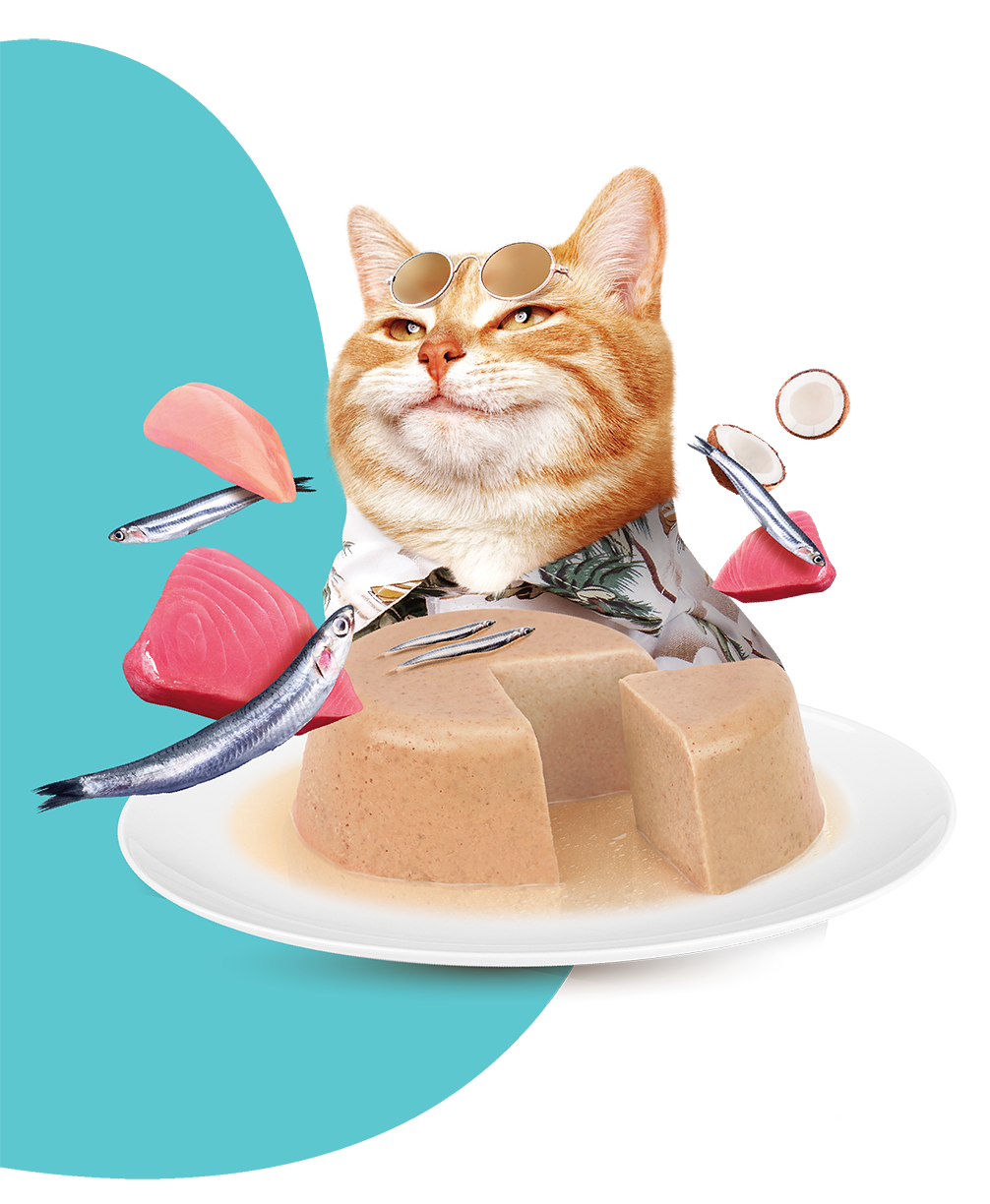 Productos Moochie gatos
