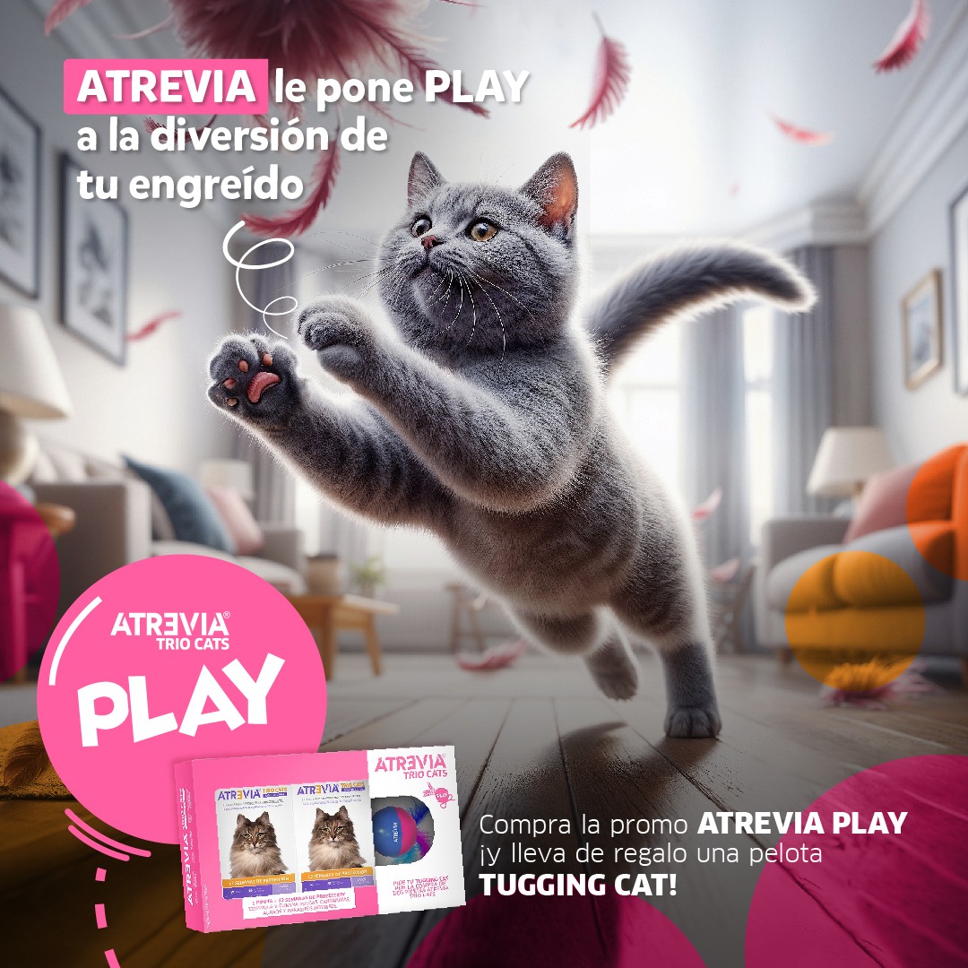 promocion de pipeta antiparasitario atrevia trio gatos