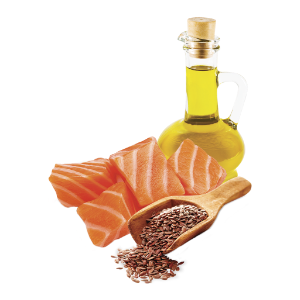 Salmón y arroz