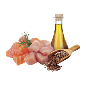 Salmón y pollo