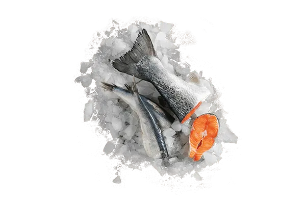 Salmón fresco Leonardo