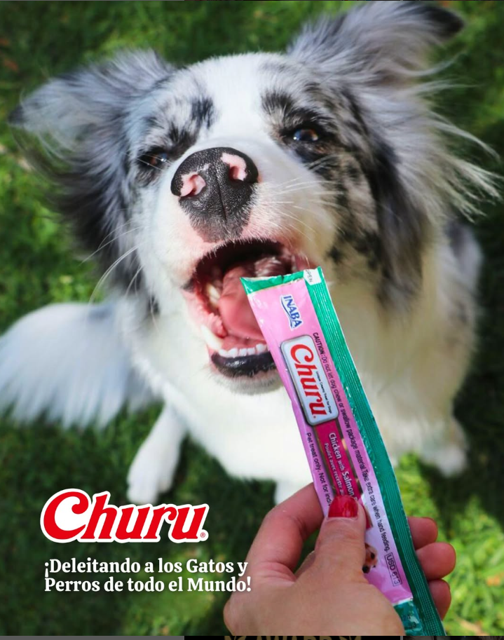 Perro disfrutando su Churu