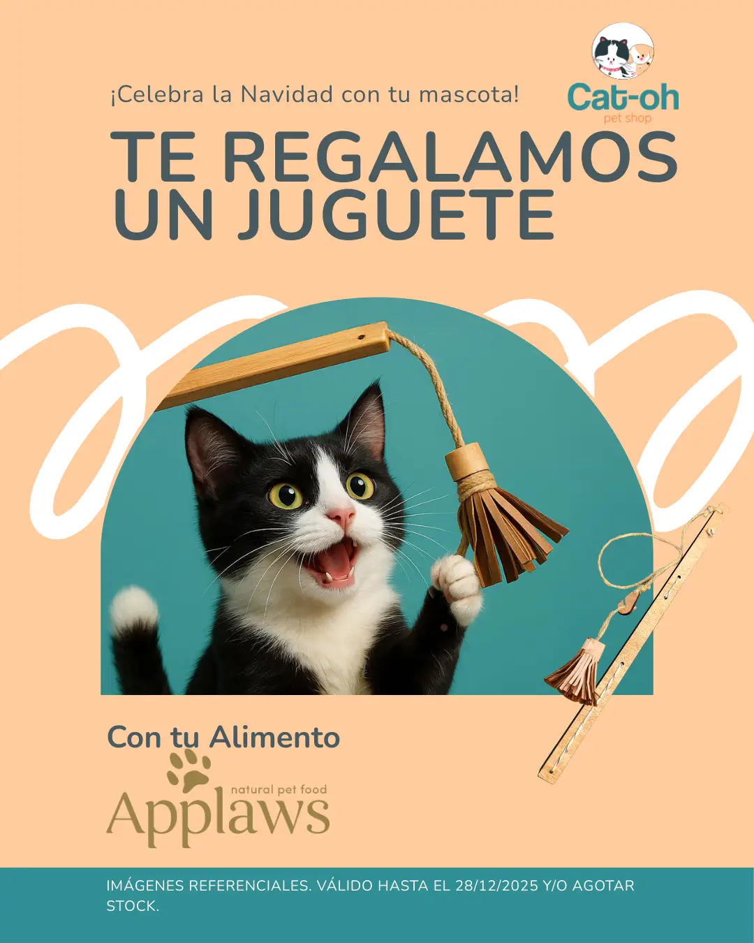 promocion juguete applaws