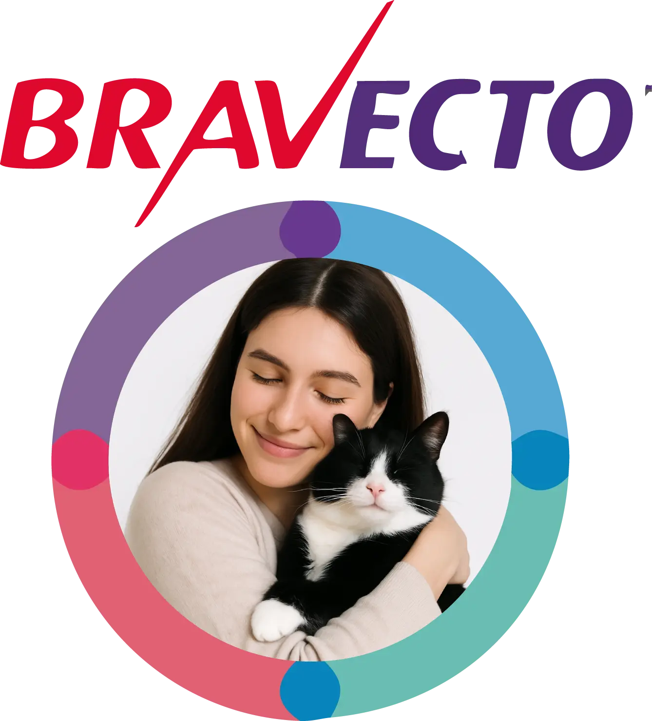 Productos Bravecto Plus para gatos