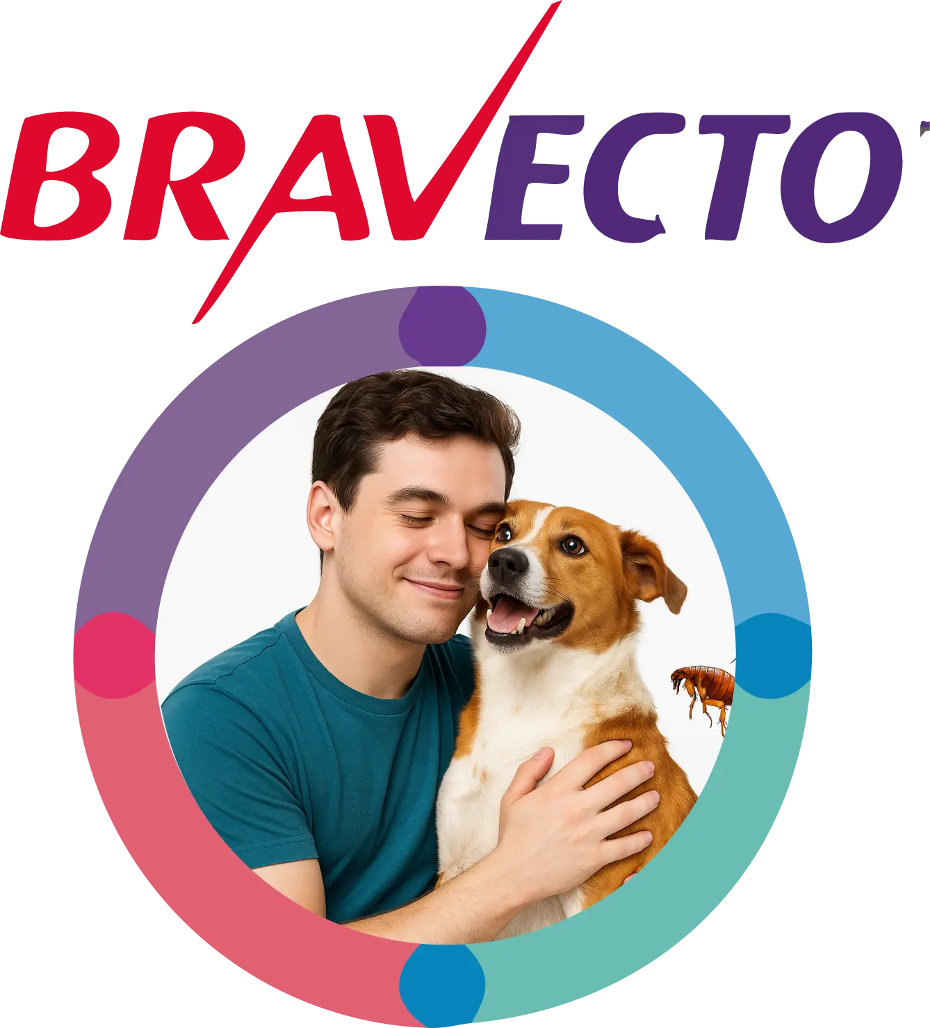 Productos Bravecto para perros