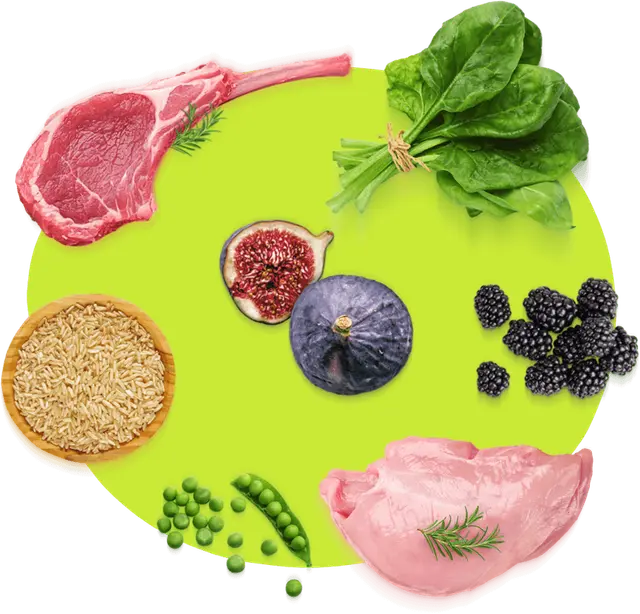 Ingredientes naturales de Guabi Natural: carne, vegetales y cereales