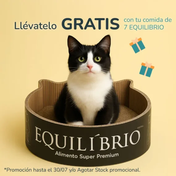 rascador para gato de carton equilibrio en miraflores lima peru