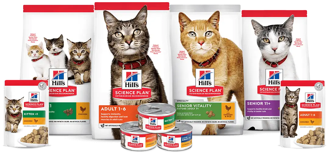 Productos Comida para gatos Hill's
