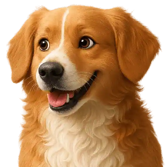 Perro