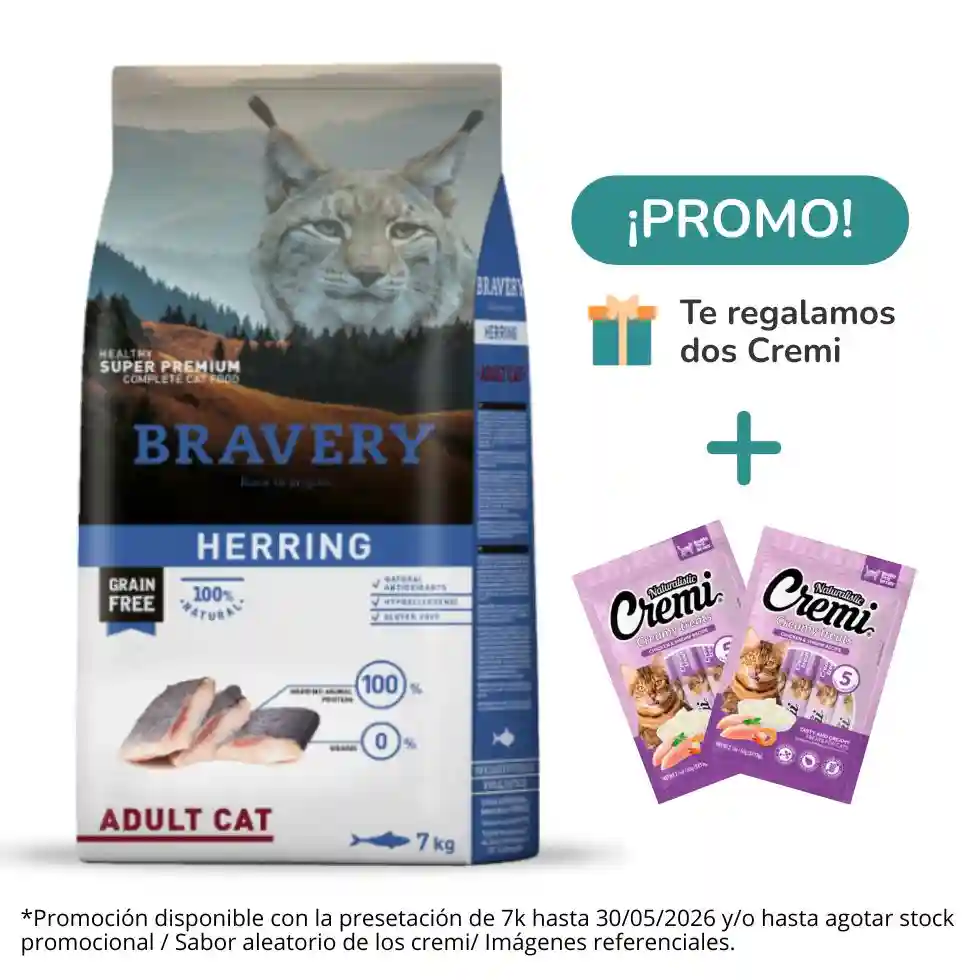 Promoción Bravery — Cat-oh