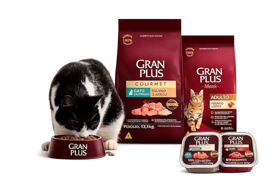 Productos Gran Plus Gatos