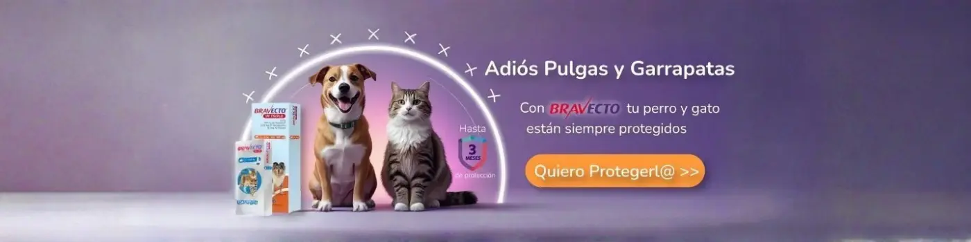 Bravecto antiparasitario para gatos y perros