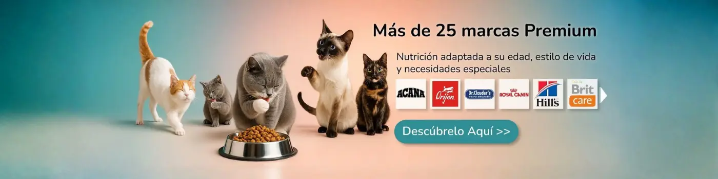 Comida para gatos Cat-oh