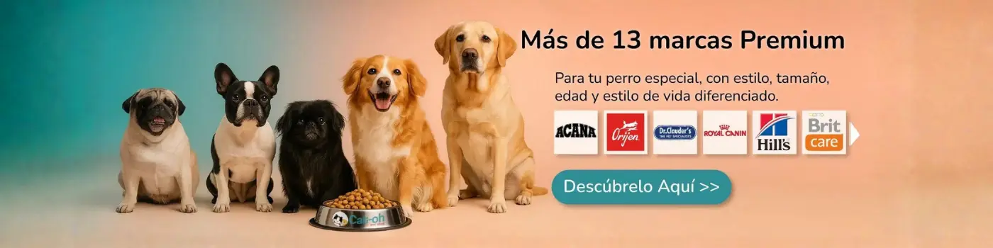 Comida para perros Cat-oh