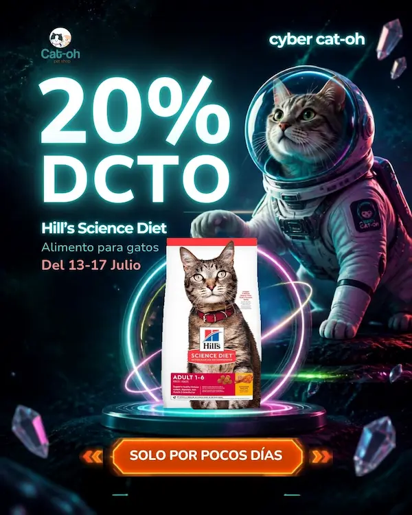 Cyber Hill's SD Gatos