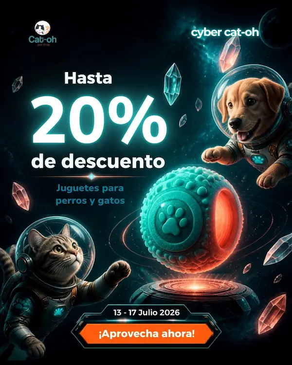 Juguetes gatos