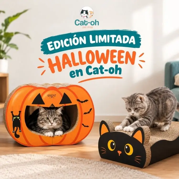 Nuevos rascadores de carton para gatos de halloween — Cat-oh