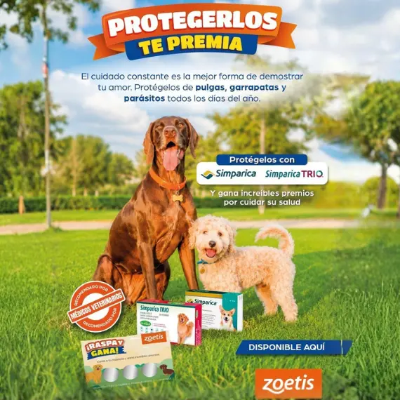 Promoción raspa y gana con simparica perros — Cat-oh