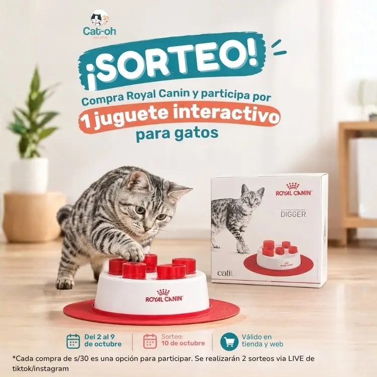 Promoción royal canin para gatos — Cat-oh